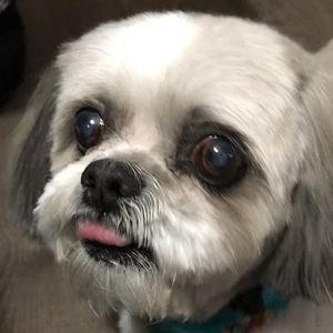 Meet your Posher, Manon